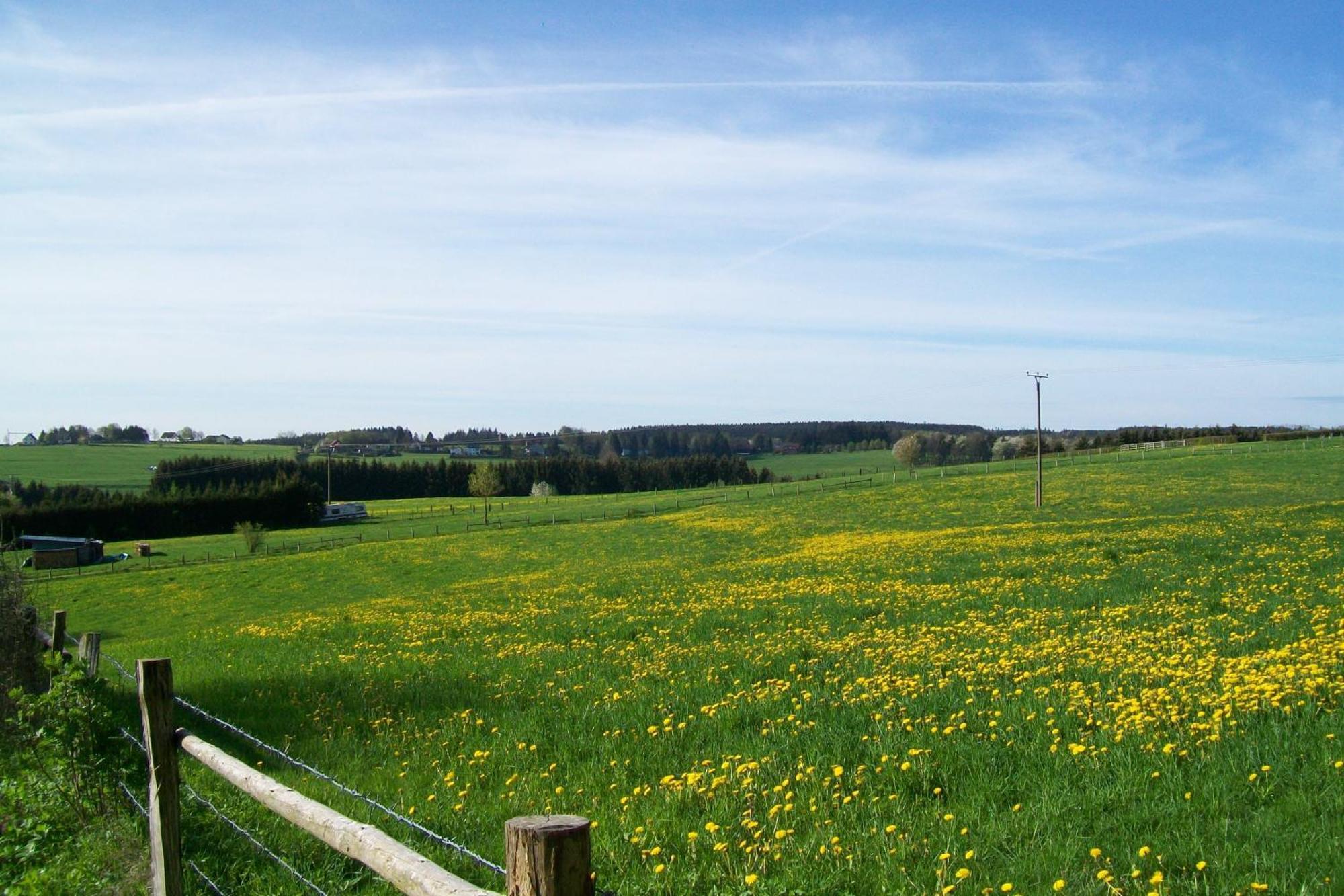 Landhaus Eifelsicht Hellenthal Eksteriør bilde