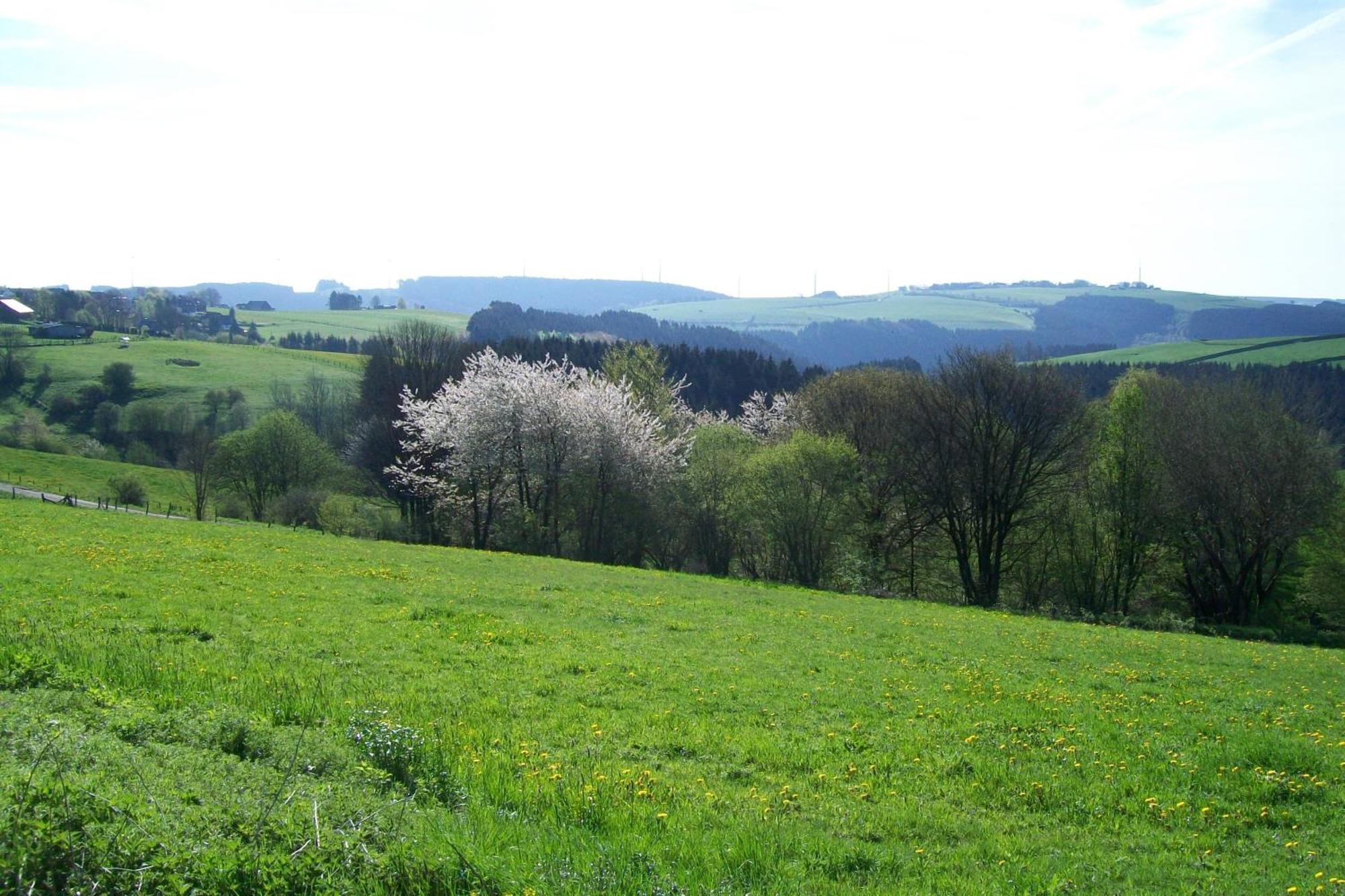 Landhaus Eifelsicht Hellenthal Eksteriør bilde