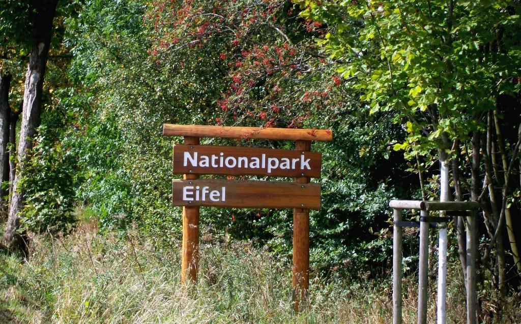 Landhaus Eifelsicht Hellenthal Eksteriør bilde